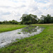 Recent heavy rain around the footpath approaching Yoxall Road