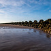 Groynes at New  Brighton