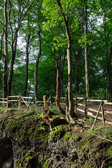 Auf dem Ernstberg in Hinterweiler in der Eifel