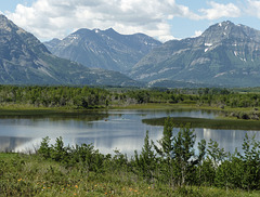 Our precious Waterton Lakes National Park, Alberta, Canada