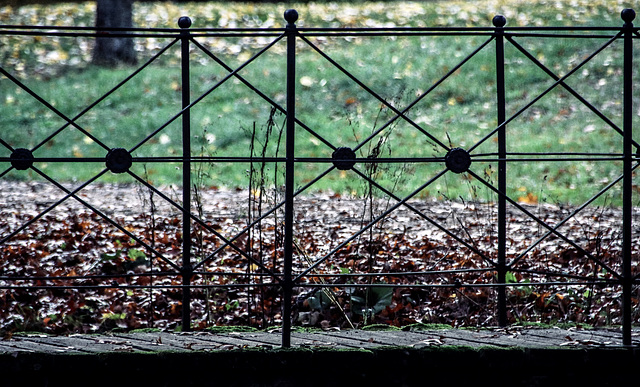 A Fence for Friday