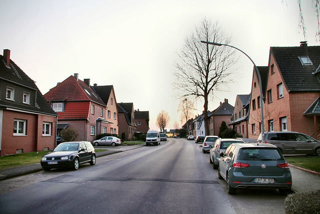 Buddenbergstraße (Selm-Beifang) / 5.03.2022