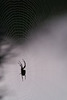 2009.11.28 (4)