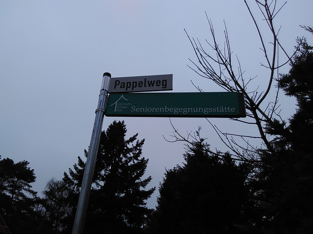 keine Pappel im Pappelweg