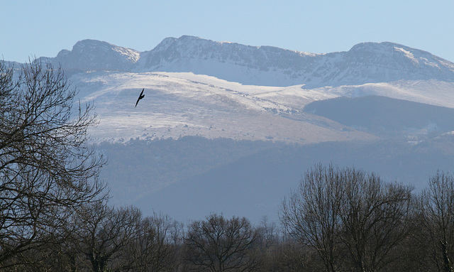 Sommets pyrénéens