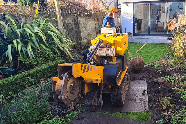 Stump Grinder