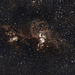 Statue Of Liberty NGC3576