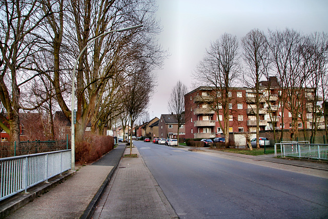 Buddenbergstraße (Selm-Beifang) / 5.03.2022