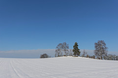 Winter im Zürcher Unterland (© Buelipix)