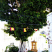 2007-10-04 Gran Canaria 016