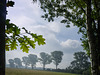 Near Worpswede