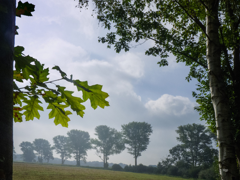 Near Worpswede