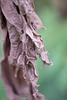 DSCF8583