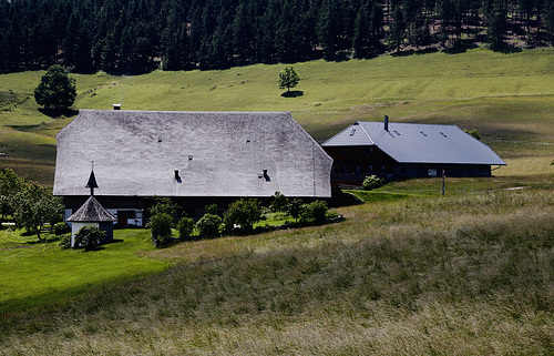Black Forest Memories