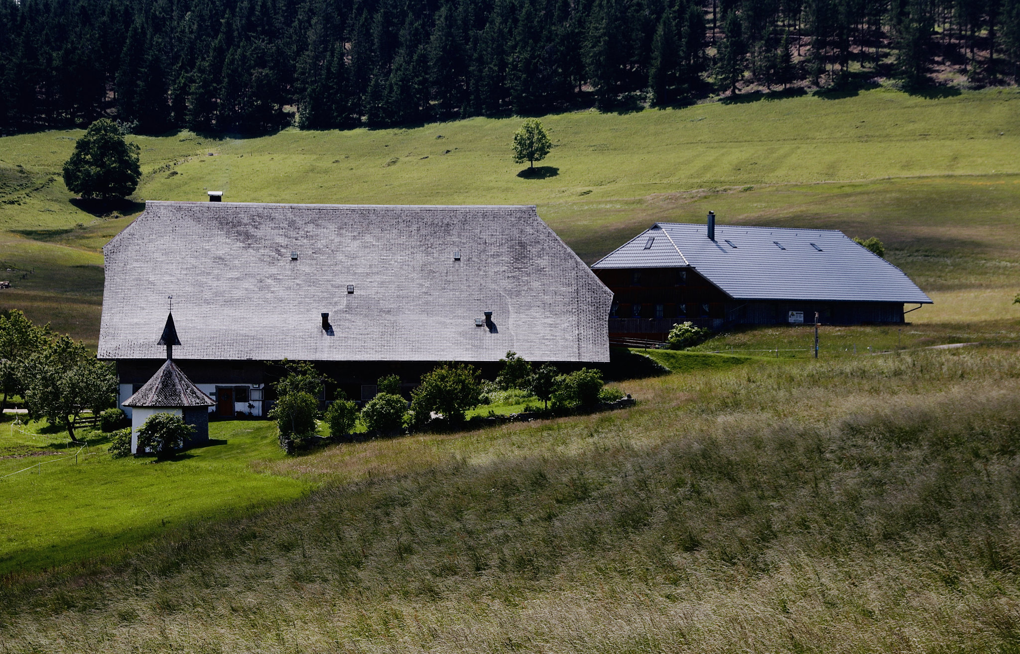 Black Forest Memories