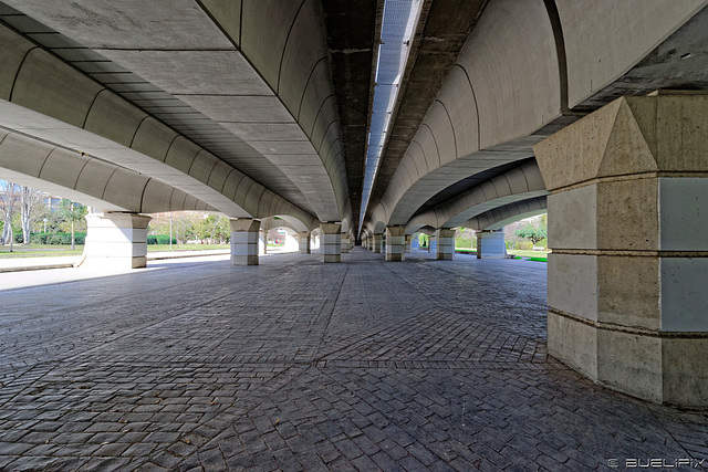 Jardin del Turia - unter der Pont del Regne (© Buelipix)