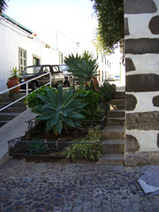 2007-10-04 Gran Canaria 013