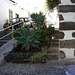 2007-10-04 Gran Canaria 013