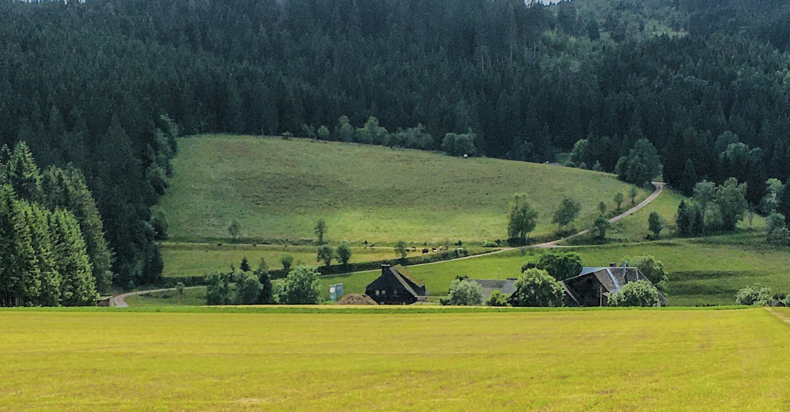 Black Forest Impressions