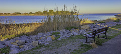 Vue sur l'étang de La Franqui plage (FR 11) - HBM