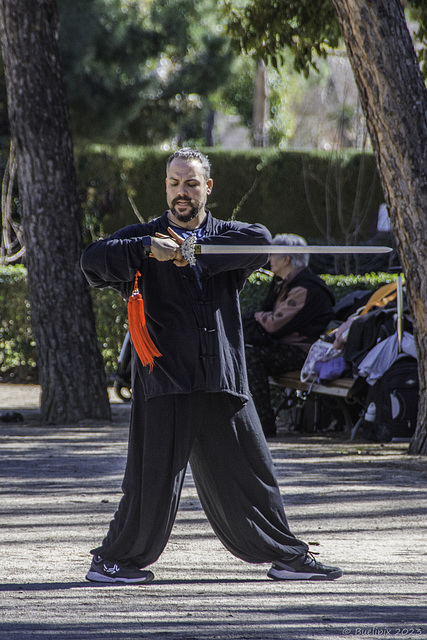 Domingo en el Parque del Retiro (© Buelipix)