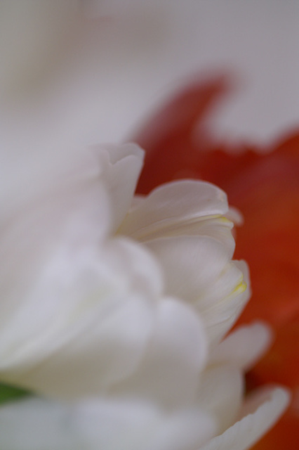 PICT0033