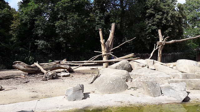 Augsburg Zoo - invisible wildlife