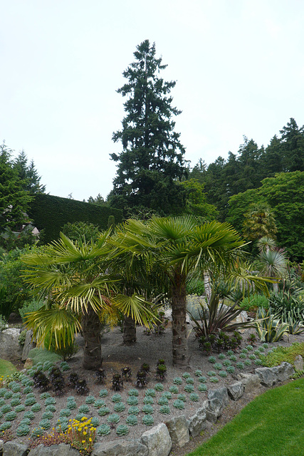 Butchart Gardens