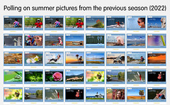 Polling on Summer Pictures 2022