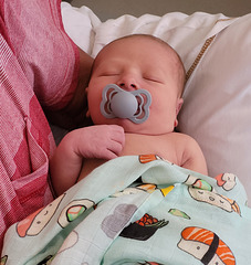 Jayden mon arrière petits fils