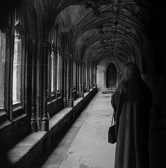 The Figure in the Cloisters