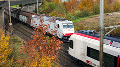 251031 Othmarsingen 21