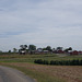 Homestead Farm