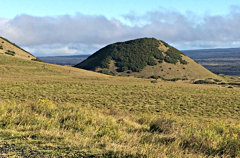 Landscape by Mauna Kea