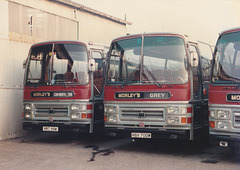 Morley’s Grey Coaches RRT99W and RGV 700W at West Row – 12 Sep 1985 (26-26)