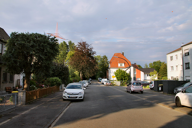 Mengeder Straße (Castrop-Rauxel) / 11.07.2020