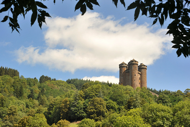 Château d'Anjony