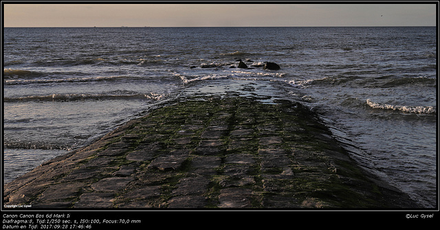 IMG 9412.jpg  2017 09 26  Bredene strandwandeling