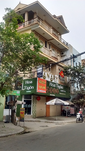 Hoa Tigôn coffee