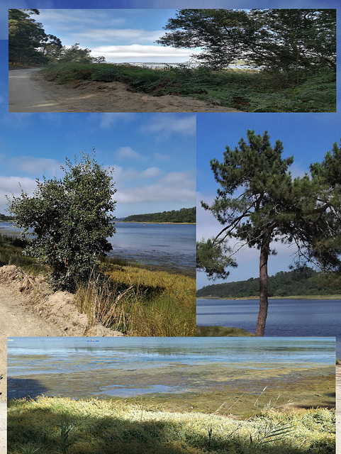 Lagoa de Óbidos, Covão dos Musaranhos