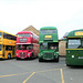 The Fenland Busfest, Whittlesey - 25 Jul 2021 (P1090200)