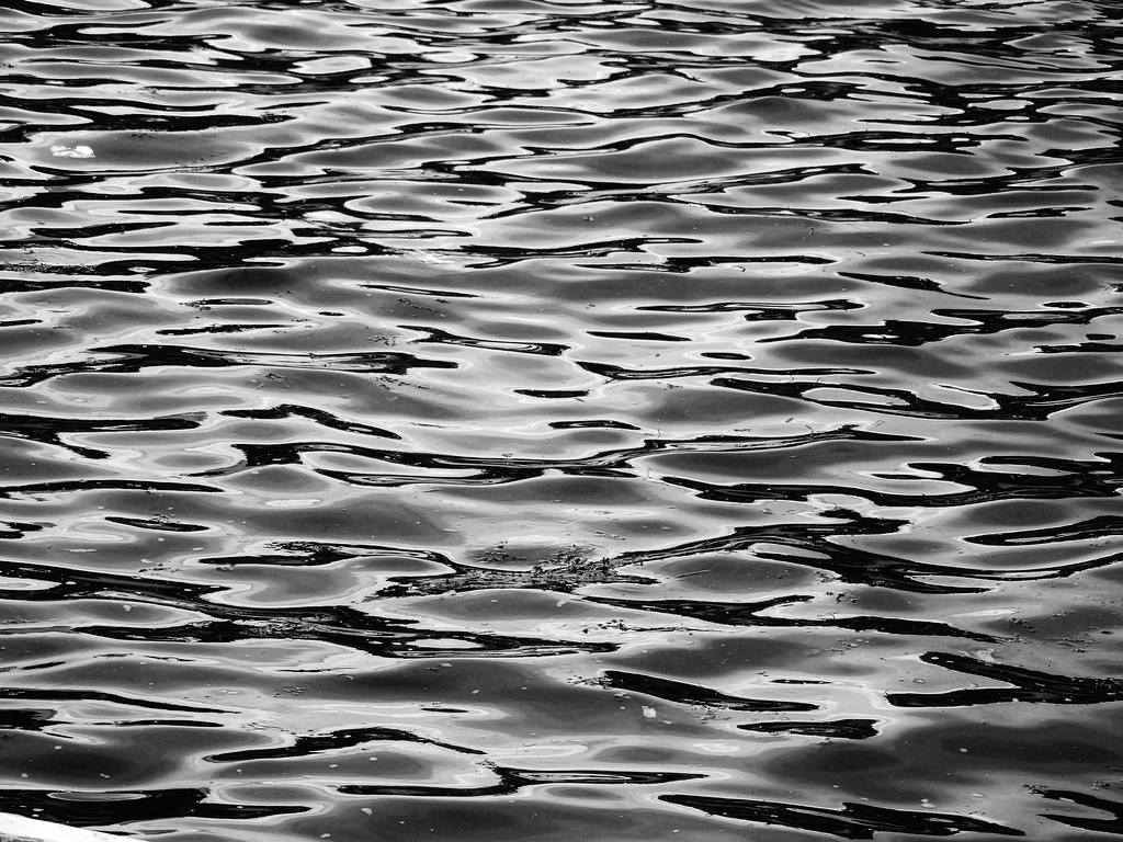 The Water. Black and White