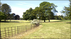 HFF................. HFF.................