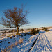 Stiperstones Snow