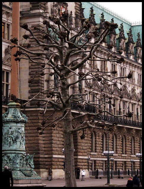 Hamburgs lustigster Baum