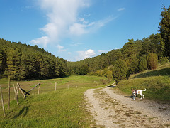 Blankenheim - Lampertstal