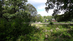 Augsburg Zoo - Rhinos