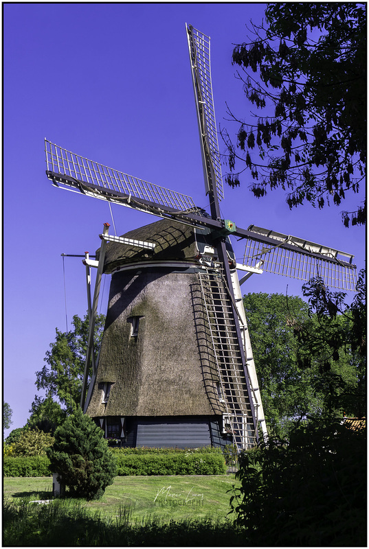 De Riekermolen te Amsterdam