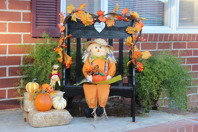 HAPPY BENCH MONDAY..... ( I  just had to snap this cute bench, in my neighborhood)