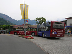 DSCN2182 Auto AG, Schwyz (AAGS)  SZ 60000 at Weggis - 15 Jun 2008